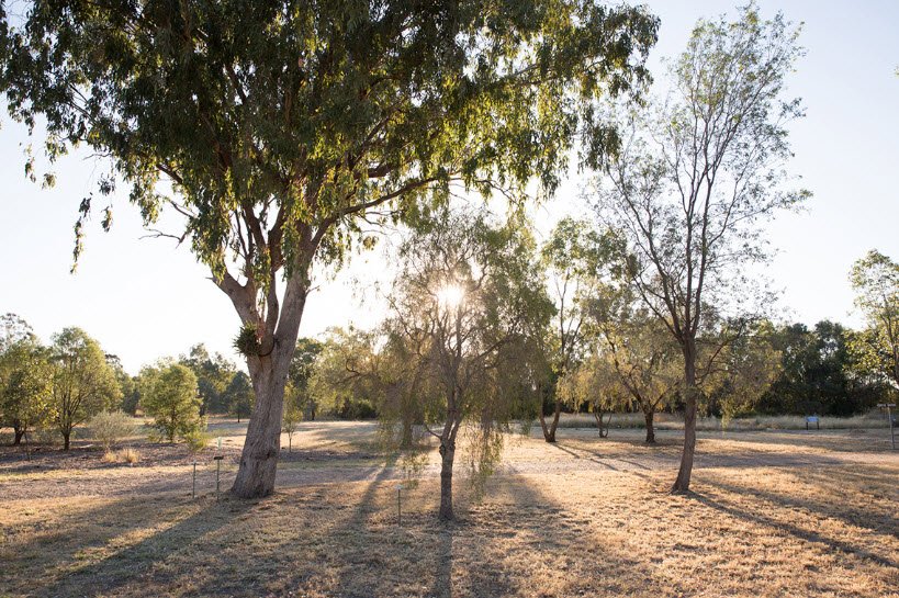Goondiwindi Botanic Gardens , Australia